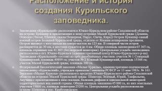 «Презентация по окружающему миру (краеведение) «Курильский заповедник» (4 класс)