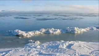 Берингово море: географическое положение, описание Берингово море окраинное
